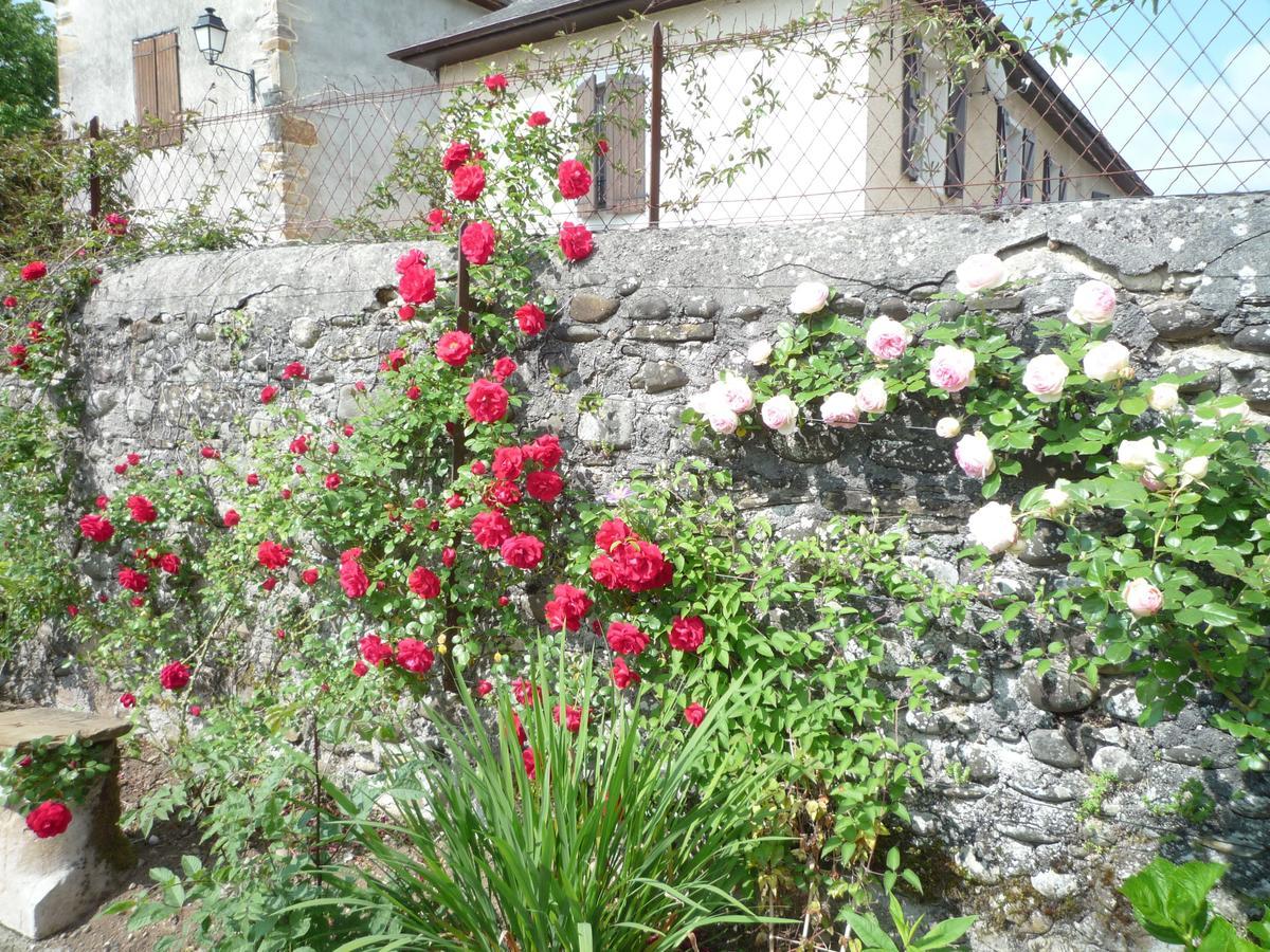Bearn Bed & Breakfast Pau Kültér fotó